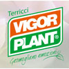 logo-vigorplant